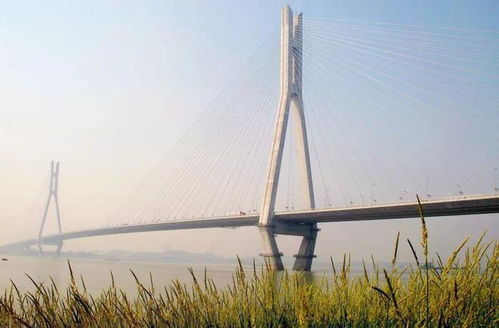 中國中鐵6座橋梁榮獲2023年度橋梁創新工程，展現中國基建硬實力